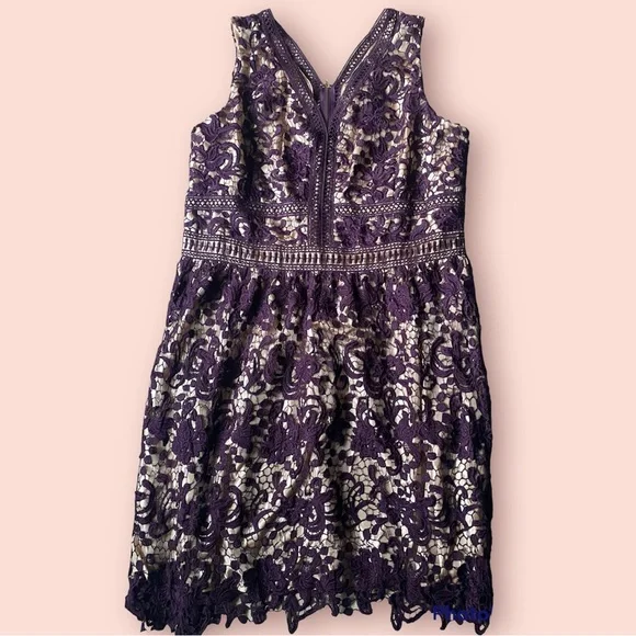 Ashley Stewart | Dresses | Ashley Stewart Crochet Dress Purple 22w |  Poshmark